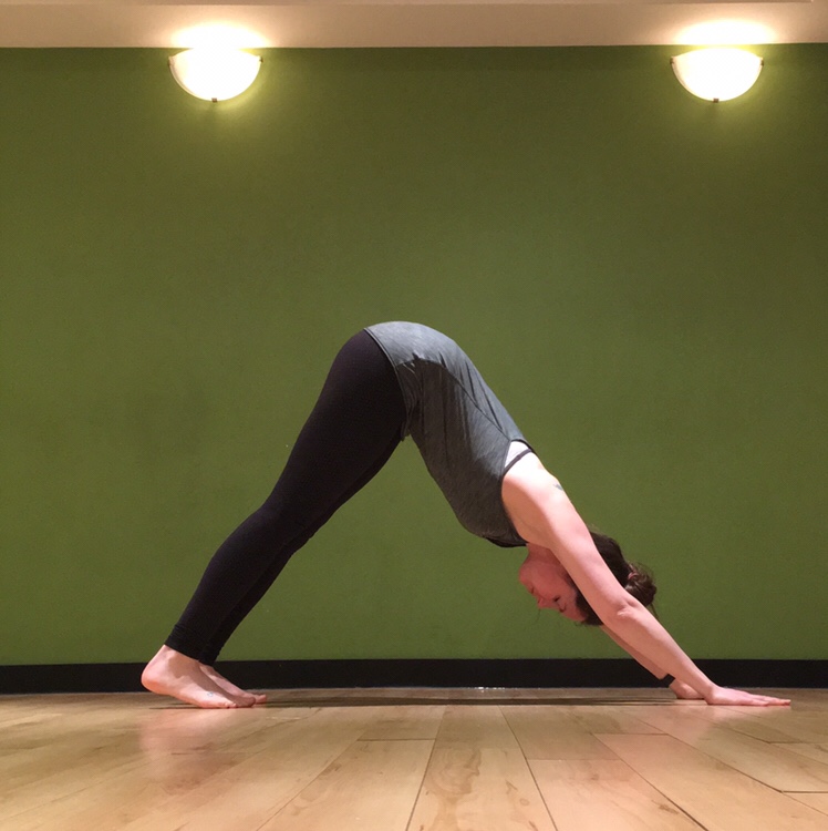 Downward Facing Dog – Resting&nbsp;Pose?