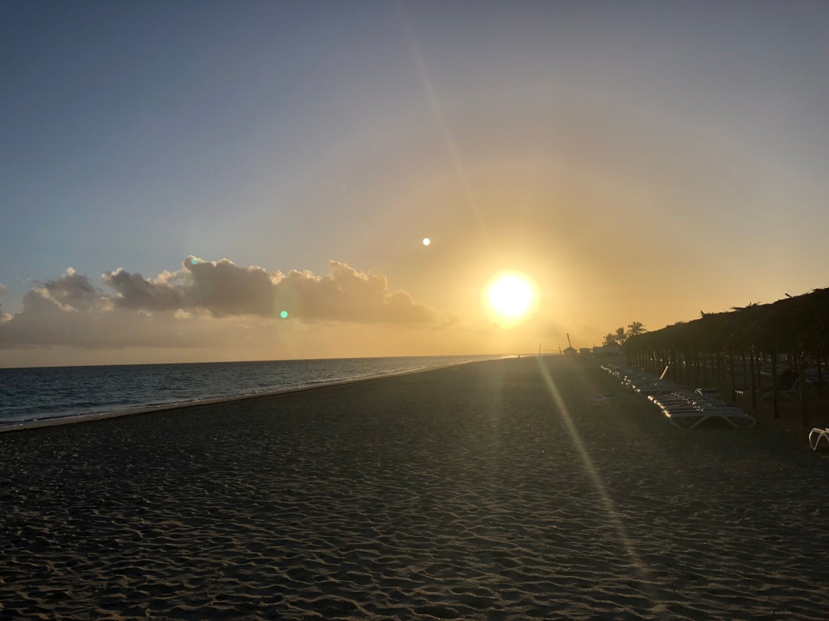 Why I Love Early Morning&nbsp;Yoga