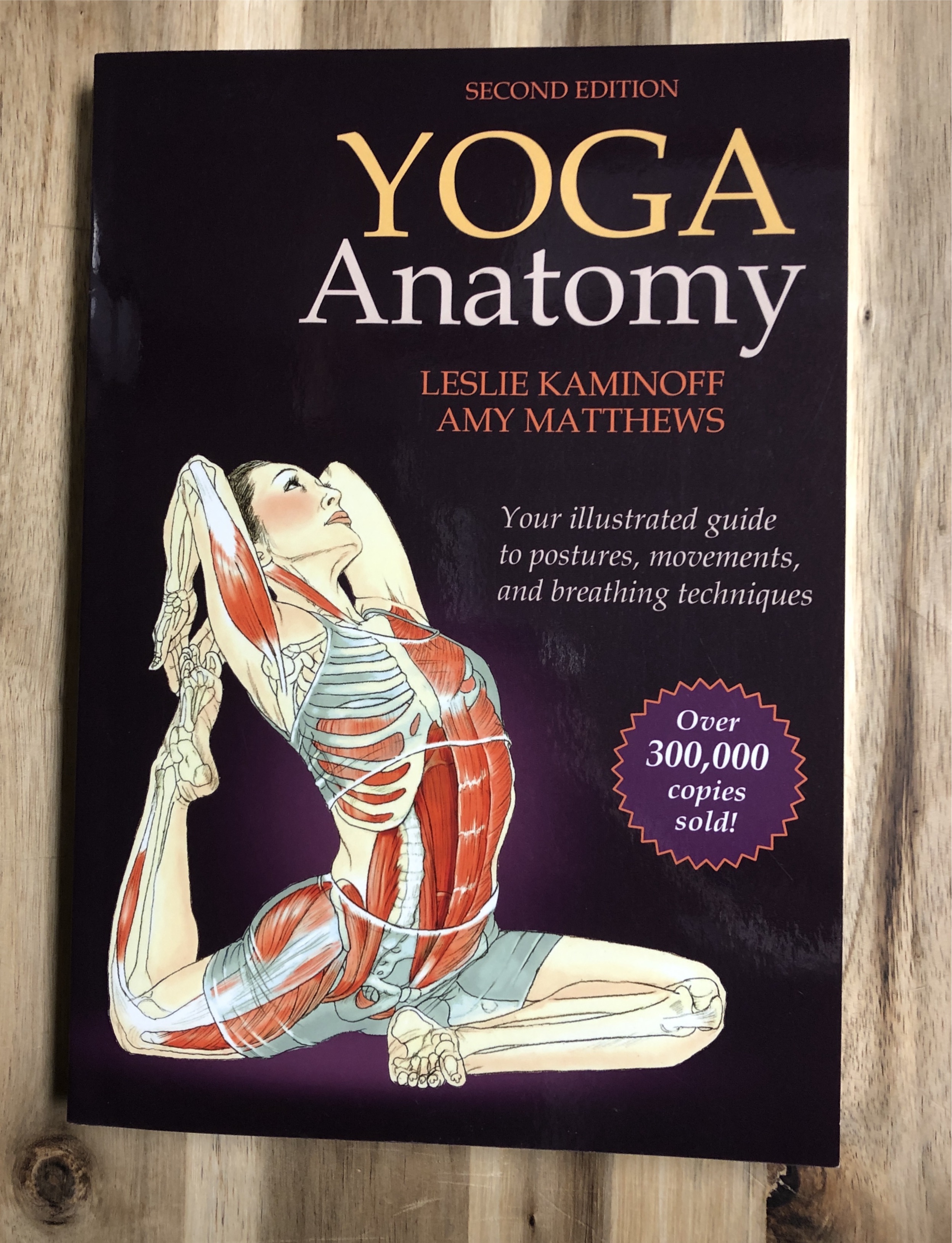 yoga anatomy