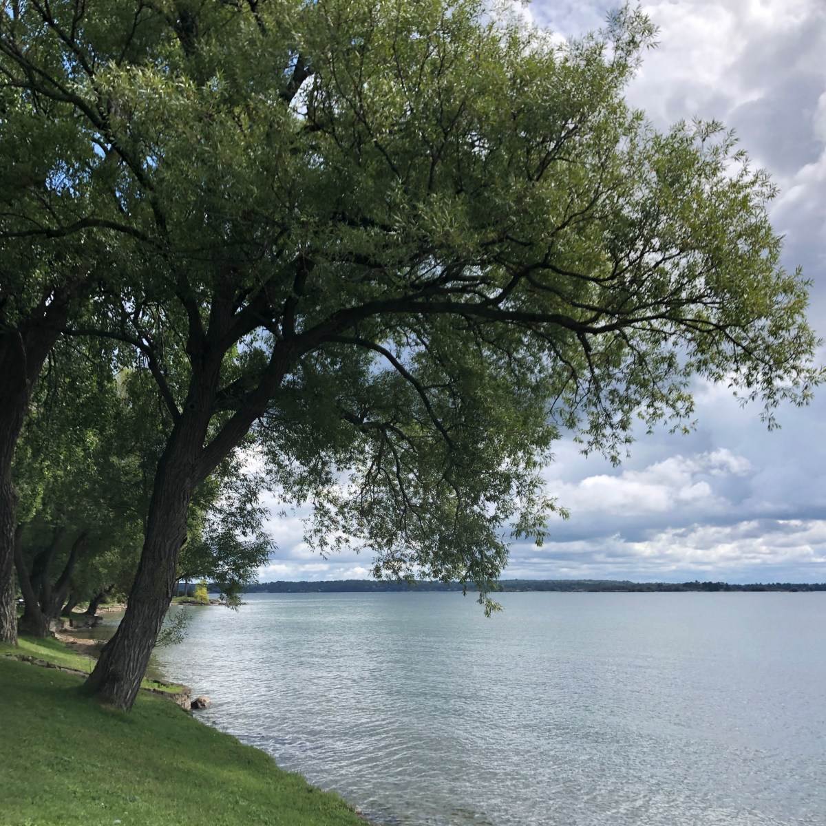 Metta Meditation (Lovingkindness&nbsp;Meditation)